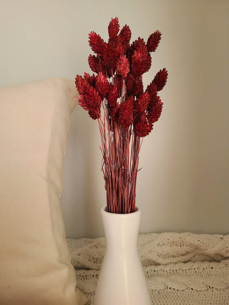 Burgundy Phalaris - Textured Bunny Tails - Phalaris Grass Tails - Canary Grass - Gem Grass