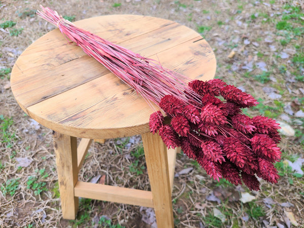 Burgundy Phalaris - Textured Bunny Tails - Phalaris Grass Tails - Canary Grass - Gem Grass