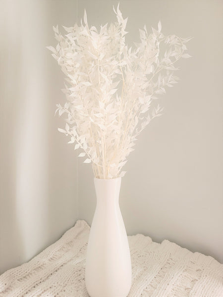 Premium Bleached White Italian Ruscus -/Bleached Flowers/ Preserved Flowers/ White Flowers