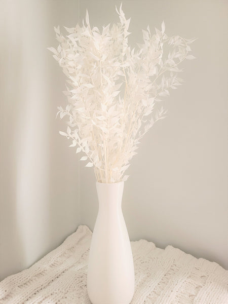 Premium Bleached White Italian Ruscus -/Bleached Flowers/ Preserved Flowers/ White Flowers