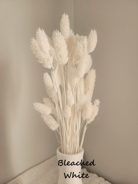 Mini Textured Bunny Tails Bunch 50 pcs - Phalaris Grass Tails Pampas Grass Boho Wedding Invitations Home Decor Dried florals Wedding favors