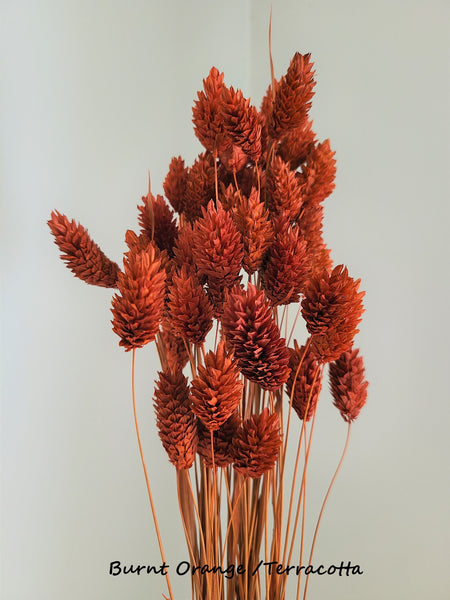 Mini Textured Bunny Tails Bunch 50 pcs - Phalaris Grass Tails Pampas Grass Boho Wedding Invitations Home Decor Dried florals Wedding favors