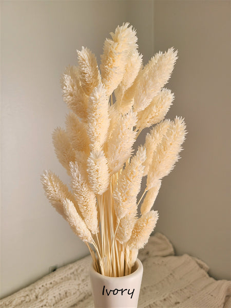 Mini Textured Bunny Tails Bunch 50 pcs - Phalaris Grass Tails Pampas Grass Boho Wedding Invitations Home Decor Dried florals Wedding favors
