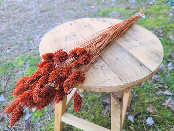 Textured Bunny Tails/ Burnt Orange/ Terracotta Phalaris- Pampas Grass - Gift for Her