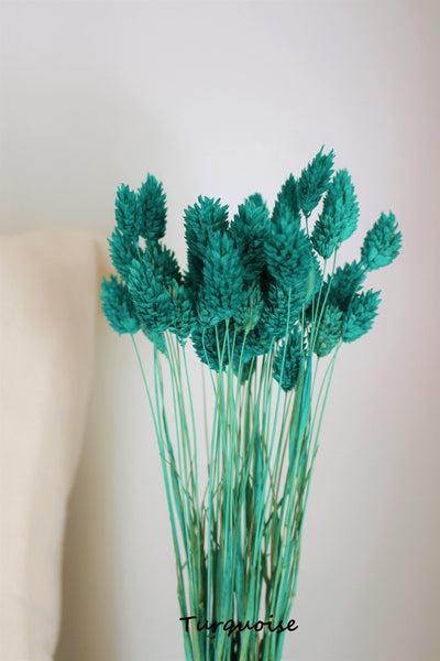 Mini Textured Bunny Tails Bunch 50 pcs - Phalaris Grass Tails Pampas Grass Boho Wedding Invitations Home Decor Dried florals Wedding favors