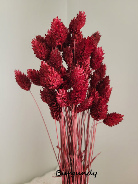 Mini Textured Bunny Tails Bunch 50 pcs - Phalaris Grass Tails Pampas Grass Boho Wedding Invitations Home Decor Dried florals Wedding favors