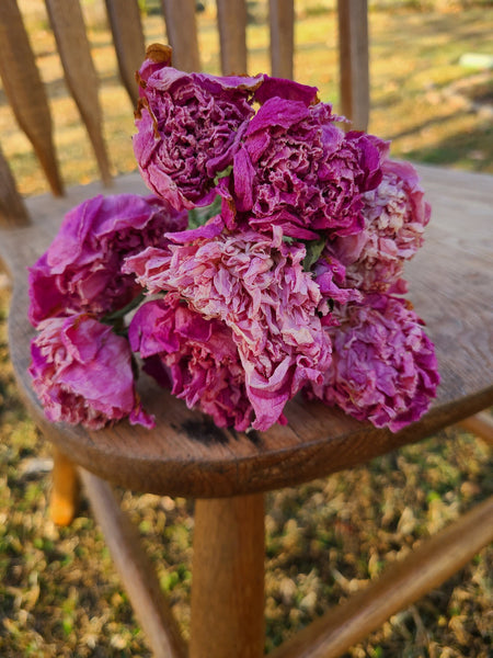 Dried peonies for weddings, dried peony bouquet, dried peony bunch, dried flowers for vase, rose substitute, peonies, pink peony