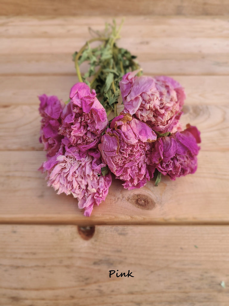 Dried Peony Bunch Dried Peonies for Weddings Dried Flowers for Vase Dried  Peony Bouquet Rose Substitute Peonies Pink Peony 
