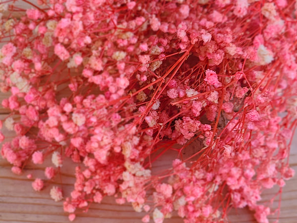 Natural Pink Preserved Baby's Breath Bundle, Unbleached Baby's Breath, Natural Gypsophilia, Preserved Gypsophilia