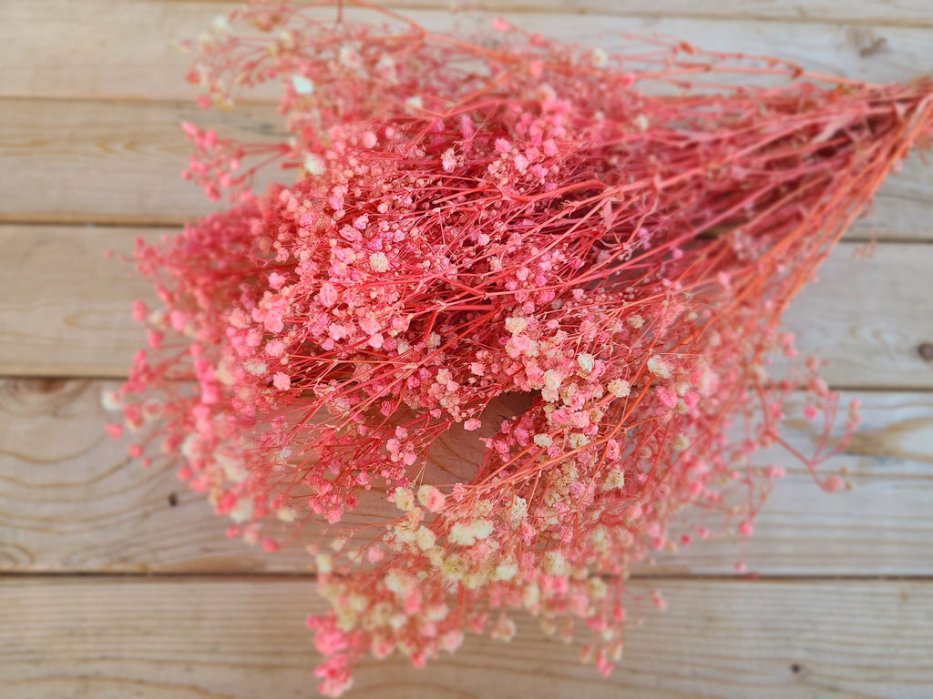 Baby's Breath Bright Pink Preserved Baby's Breath Flowers