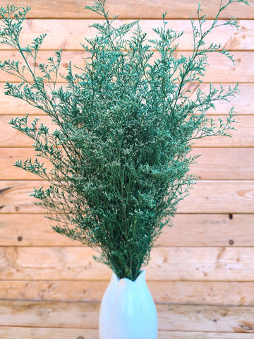 Bunch of preserved white tipped green caspia, Dried Wedding Flowers, wedding decor