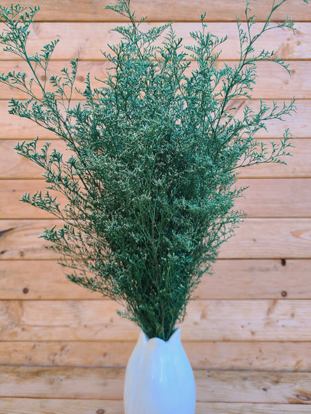 Bunch of preserved white tipped green caspia, Dried Wedding Flowers, wedding decor