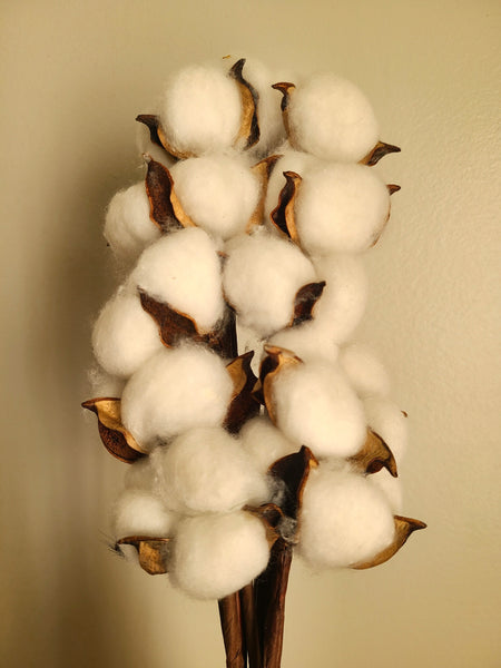 Raw Cotton Stems Bouquet, Cotton Balls