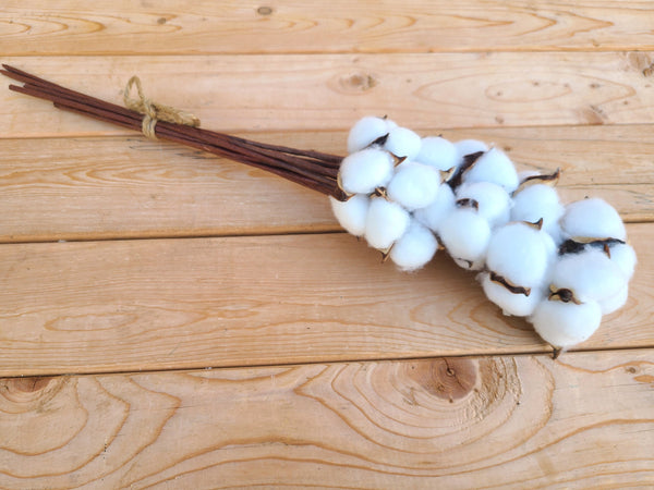 Raw Cotton Stems Bouquet, Cotton Balls