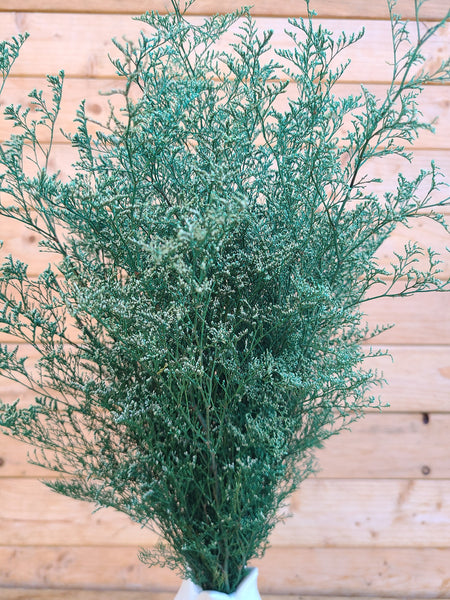 Bunch of preserved white tipped green caspia, Dried Wedding Flowers, wedding decor