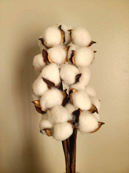 Raw Cotton Stems Bouquet, Cotton Balls