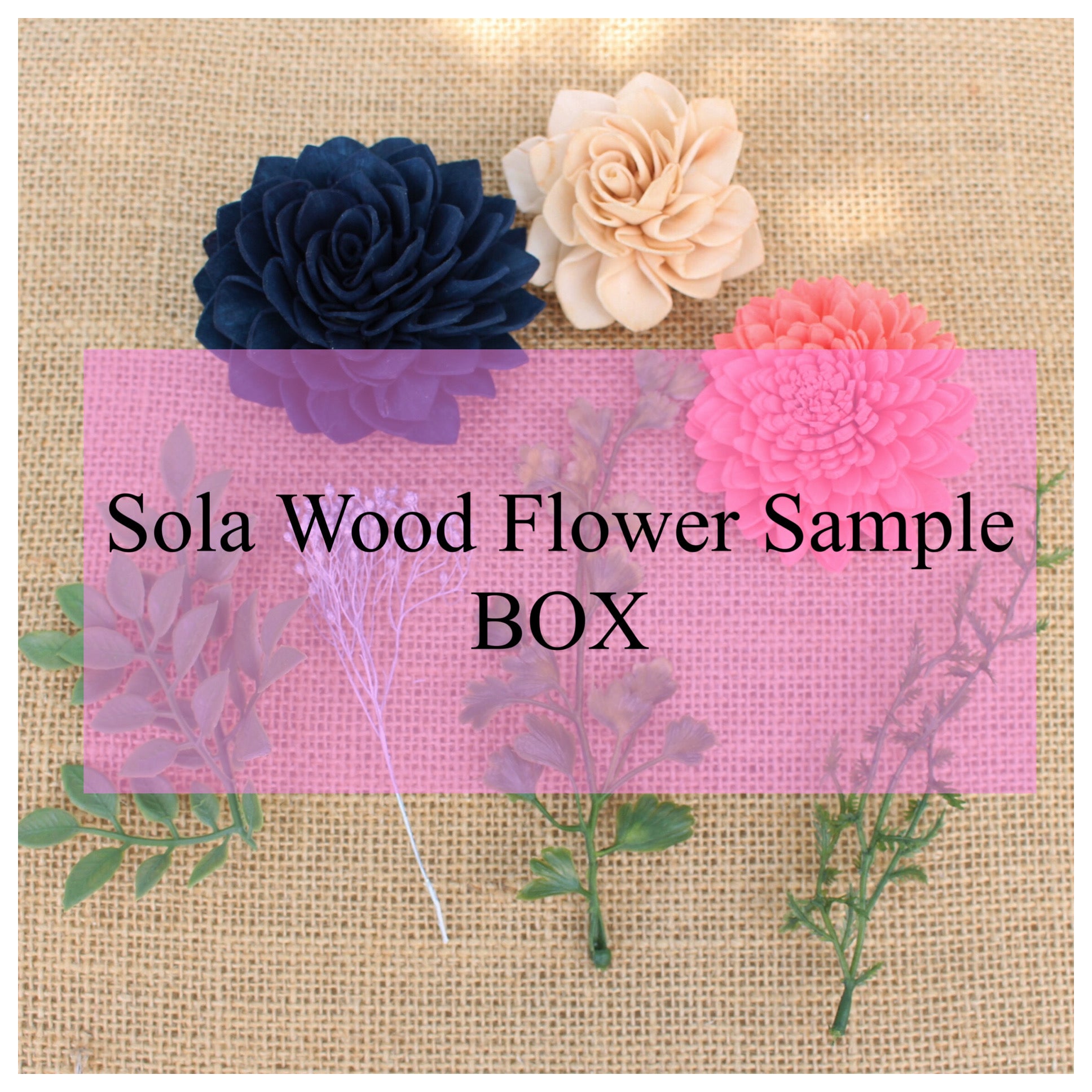 sola wood flower sample box