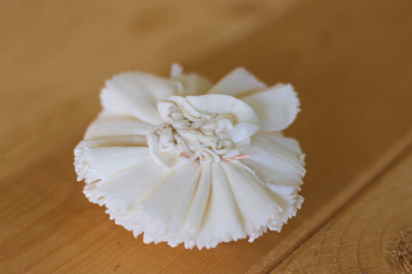 Wholesale /Bulk Sola Wood Carnations ( 50 count )