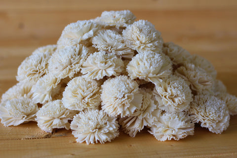 Wholesale /Bulk Sola Wood Carnations ( 50 count )