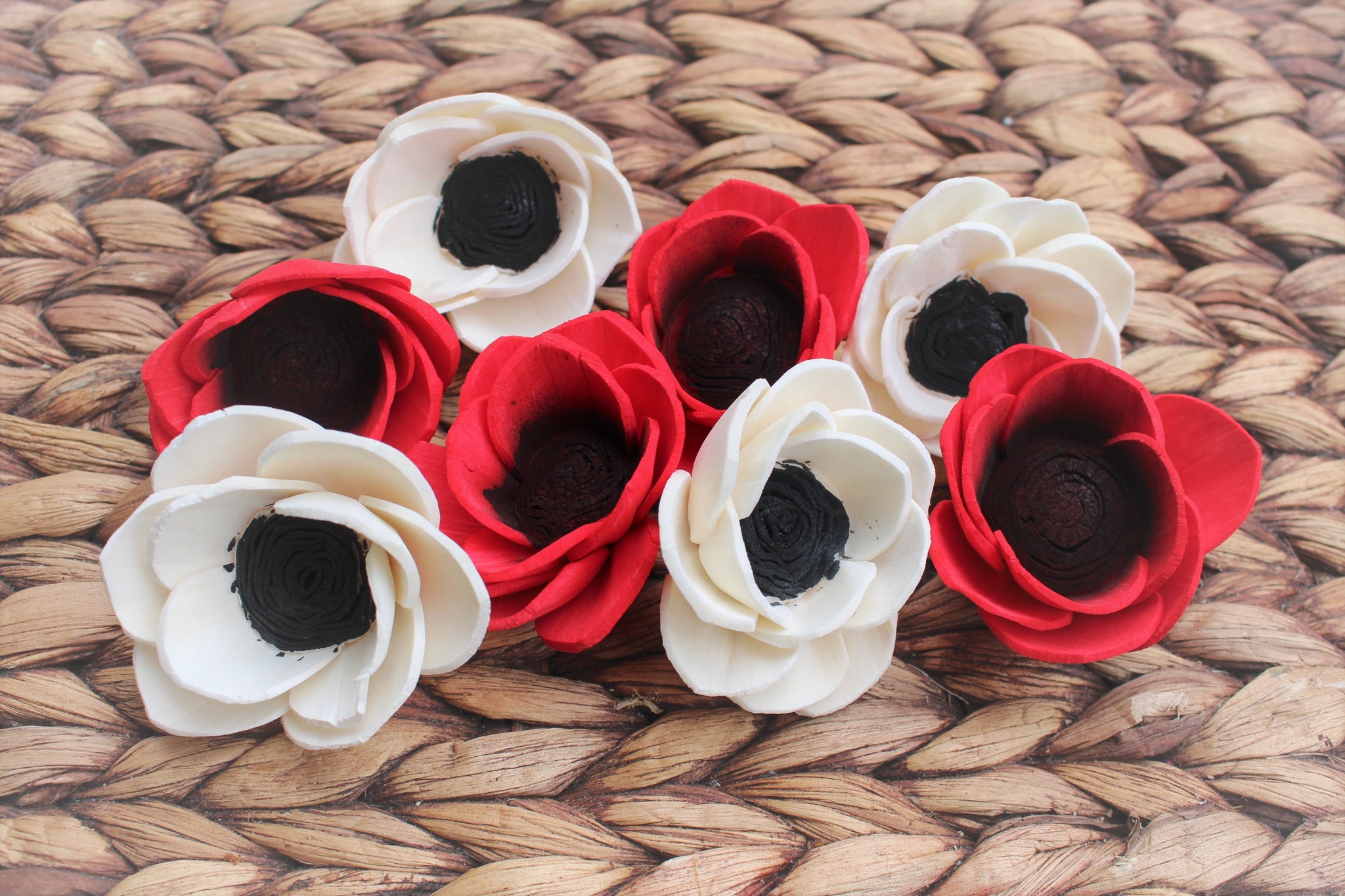 Red and White Poppies-Sola Flowers-Set of 8