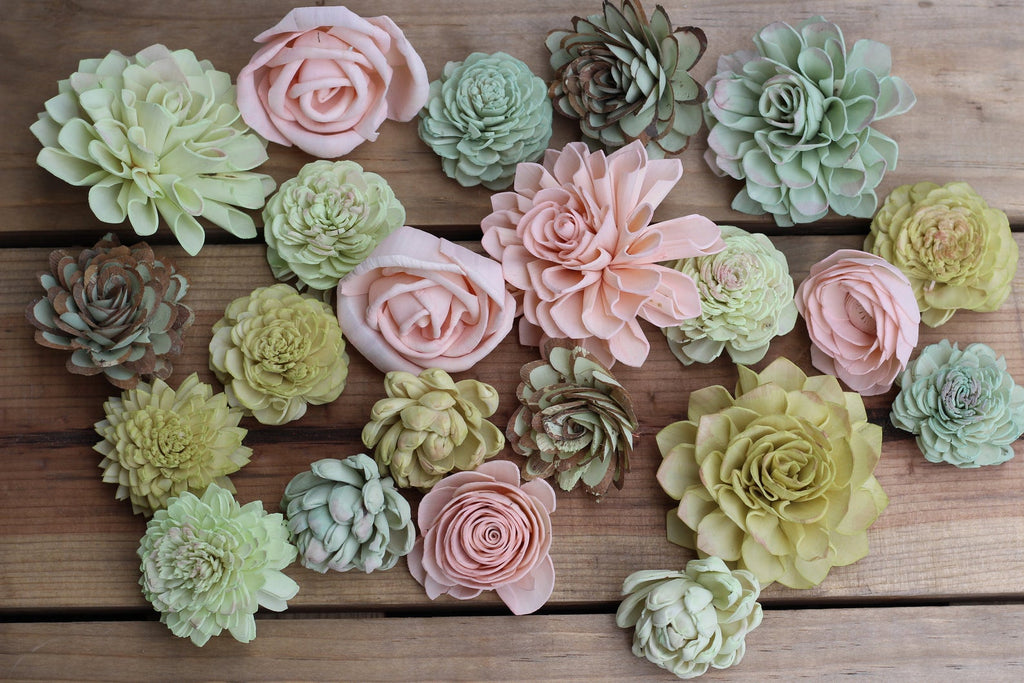 blush succulent Succulent Sola Flowers Blush Pink and Greens